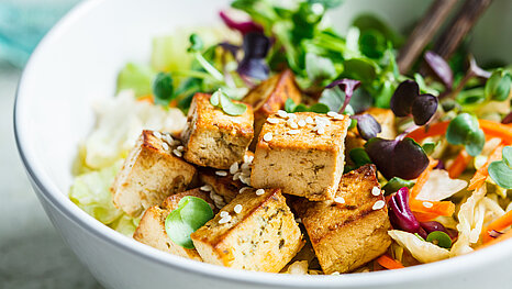 Vegetáriánus és vegán termékek gyártása, klipszelése, szeletelése és füstölése – Project Food Vegetáriánus és vegán termékek rúdáru, klipszelés, szeletelés és füstölés Project Food gépekkel